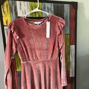 Nordstrom NSR Velvet pink dress with ruffle sleeves NEW with tags. Size small